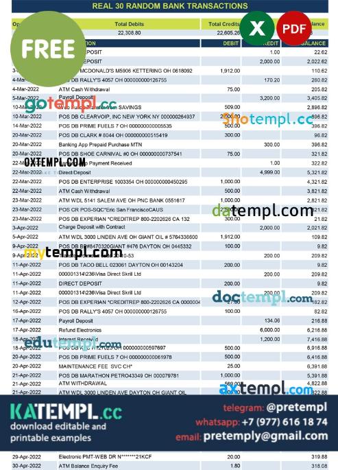 generate real 30 random bank transactions Excel and PDF